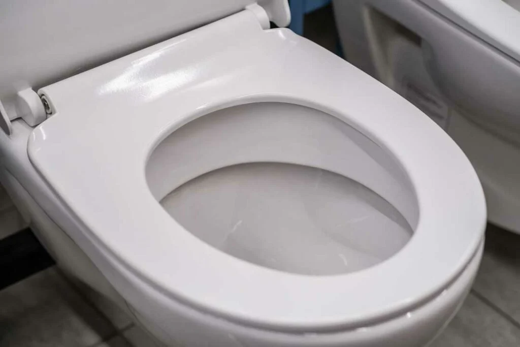 Loose Toilet Seat