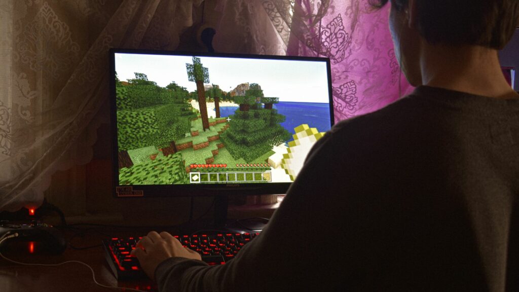 Minecraft server community