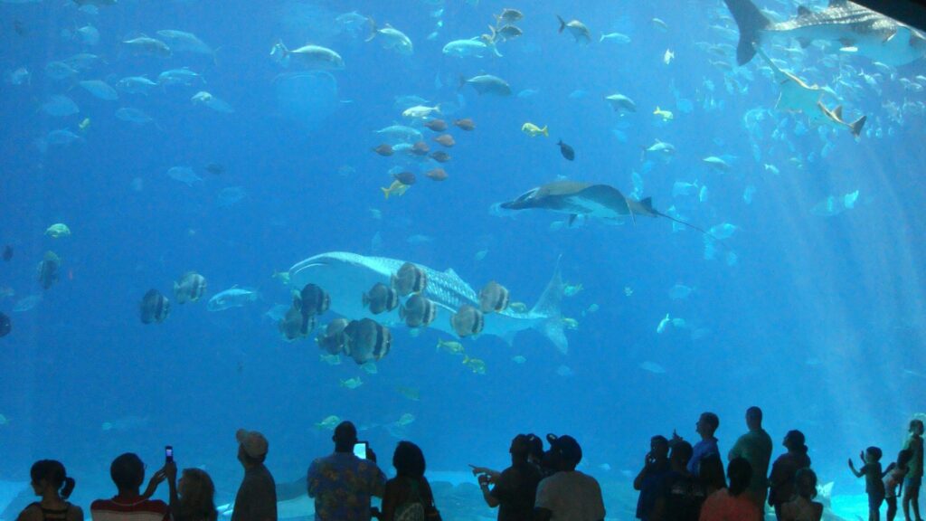 SEA LIFE