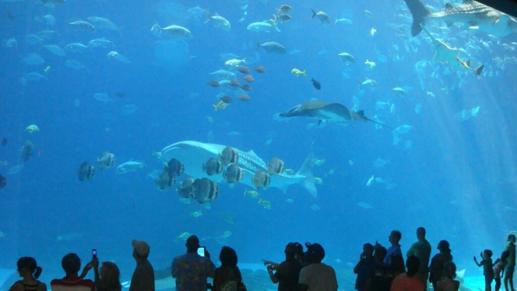 SEA LIFE