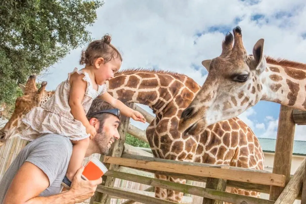 San Antonio Zoo