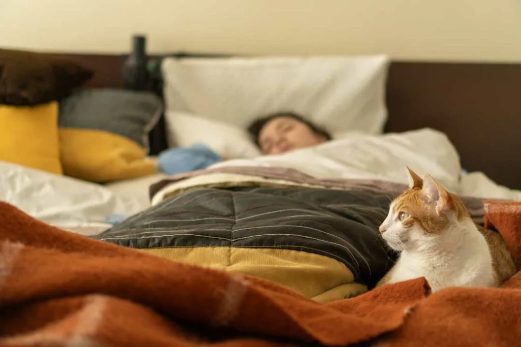 best bedroom temperature for sleep