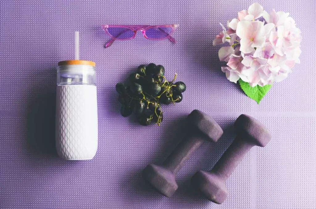 blackcurrant powder benefits