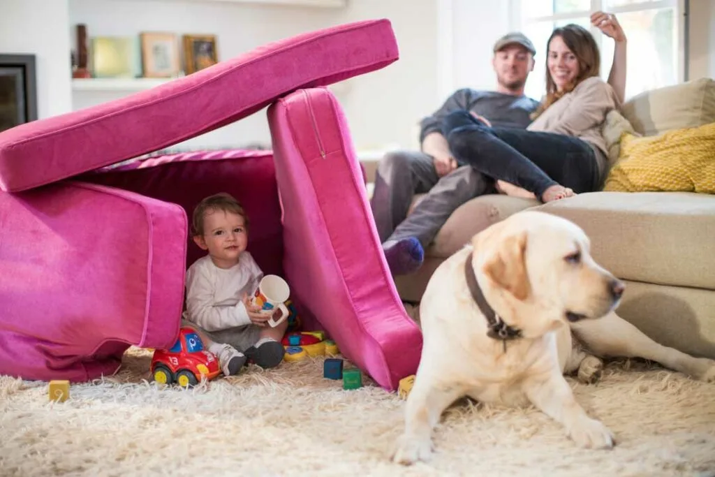 child and pet safe furniture