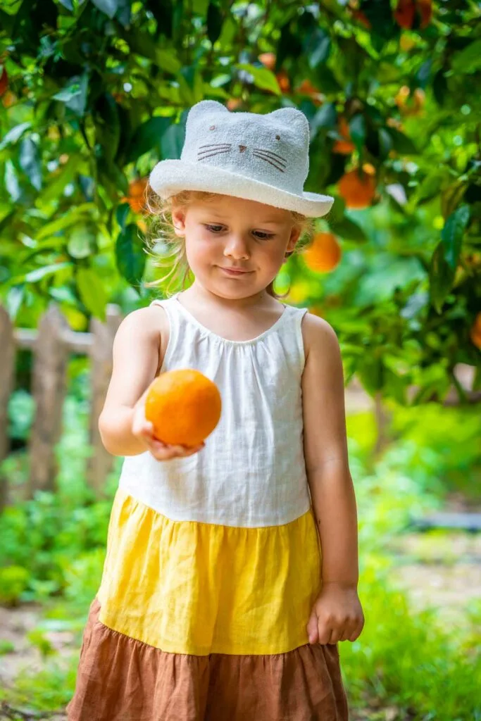 clementines and other seedless mandarins