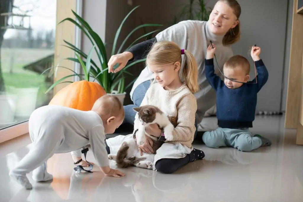 how to improve air quality in your home
