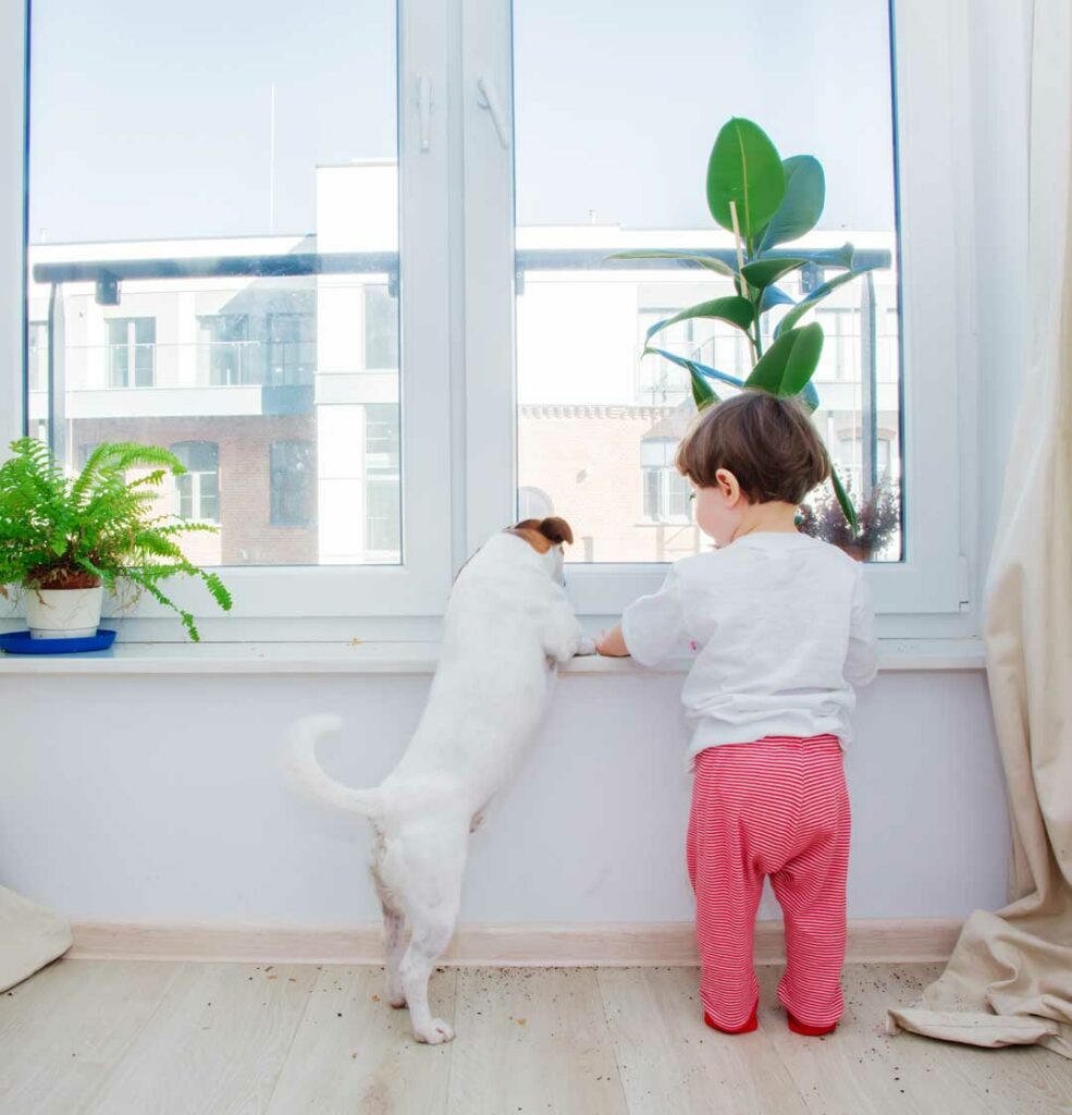 solutions to air pollution