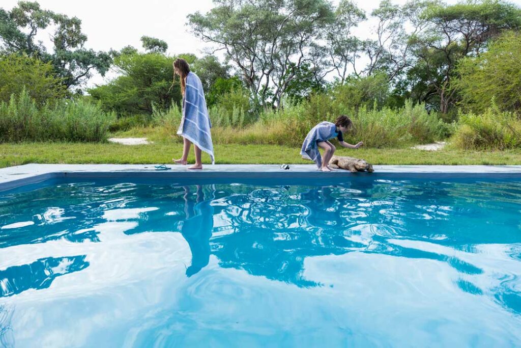 swimming pool bacteria