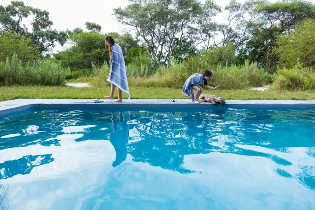 swimming pool bacteria