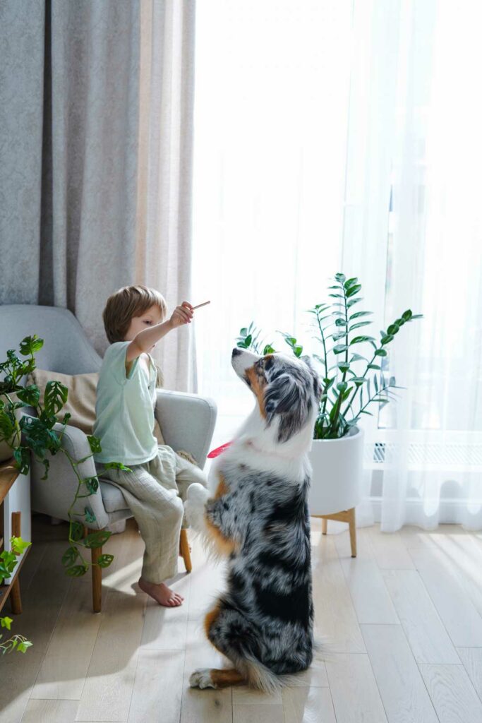 ways to reduce air pollution indoors