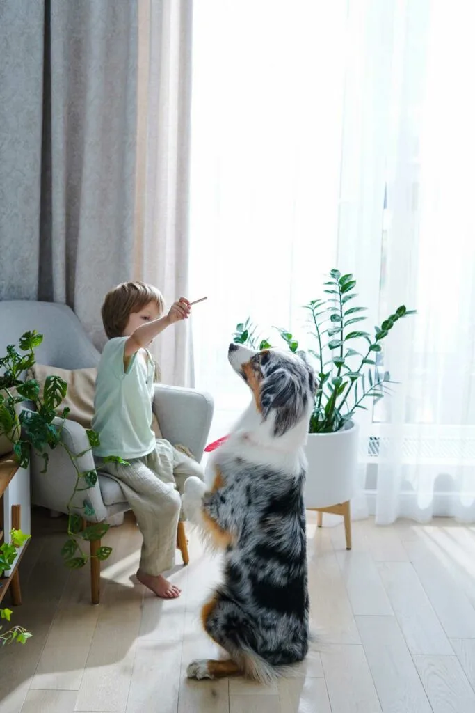 ways to reduce air pollution indoors
