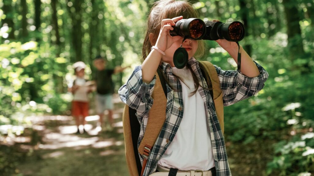 best time to see wildlife