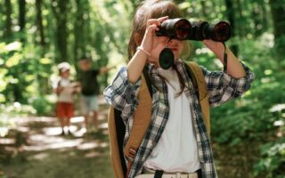 best time to see wildlife