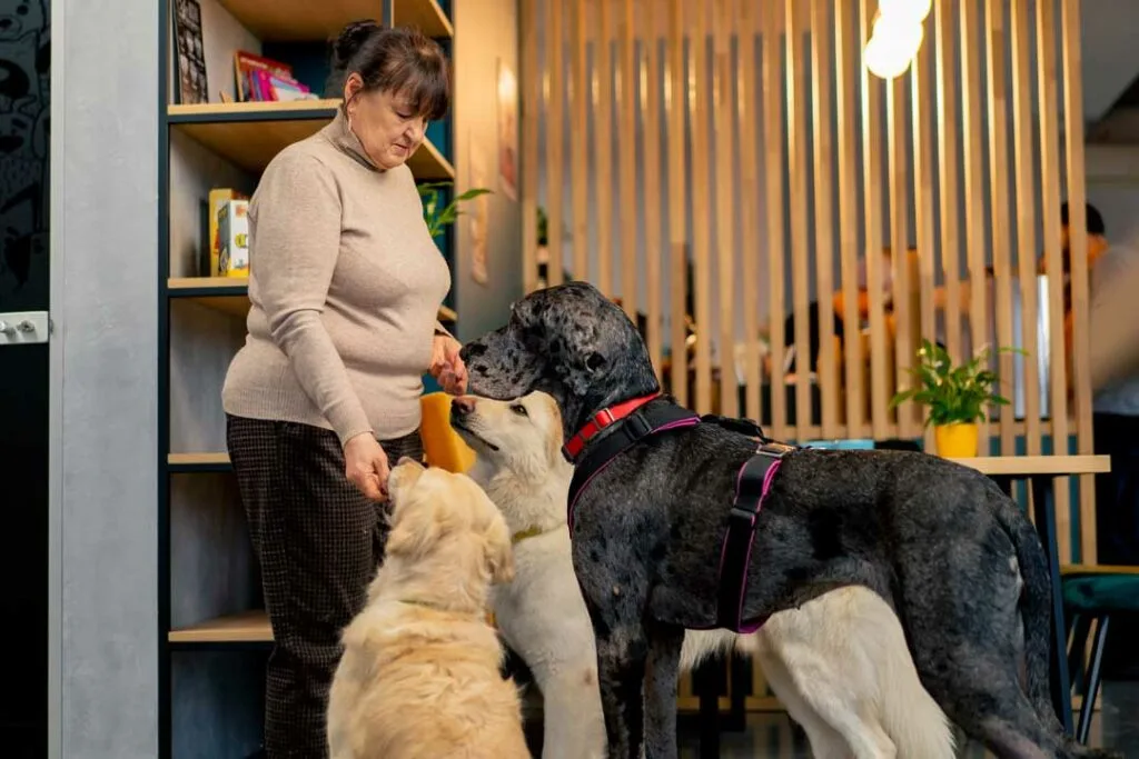 letter for psychiatric service dog access